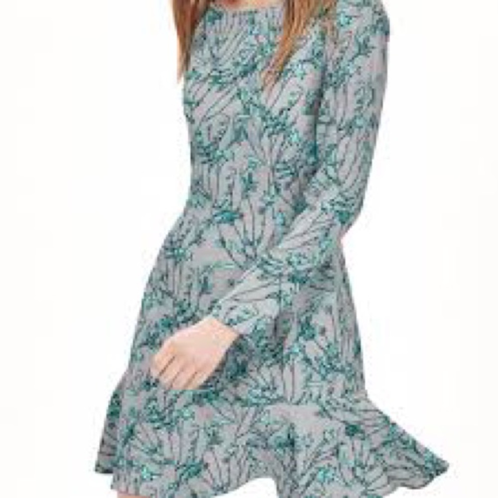 Long Sleeve, Flare Skirt Dress